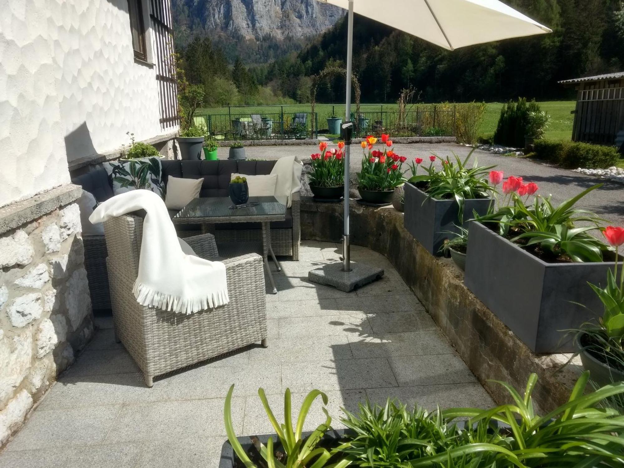 Haus Alpenblick Apartment Обертраун Екстериор снимка