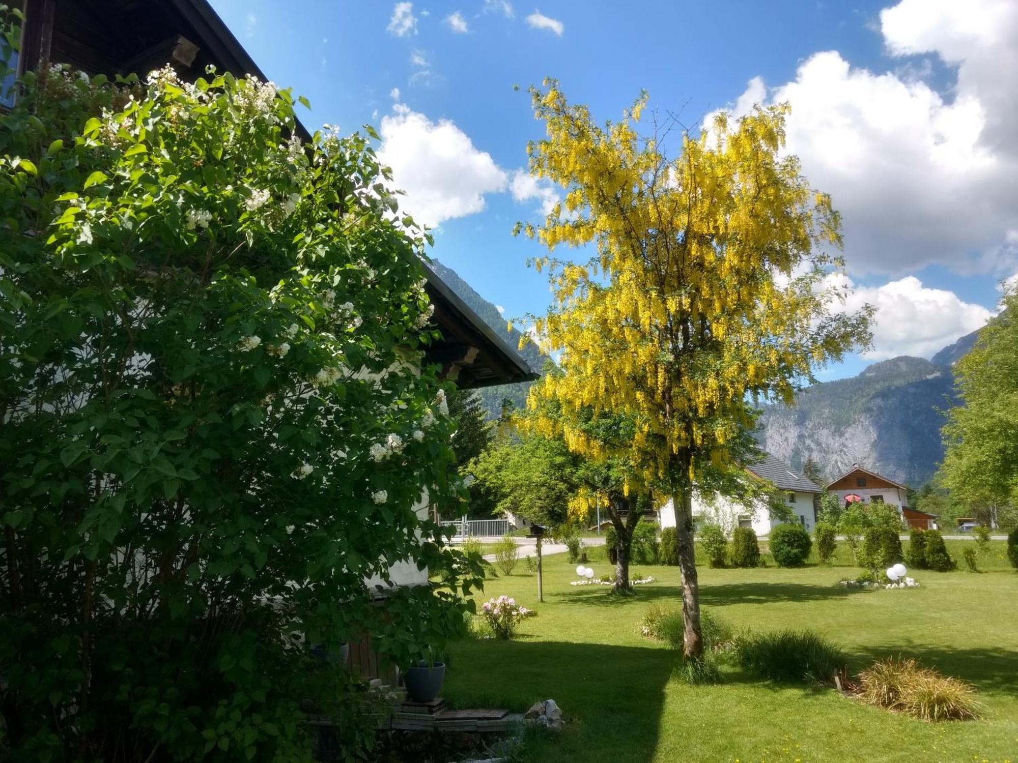 Haus Alpenblick Apartment Обертраун Екстериор снимка