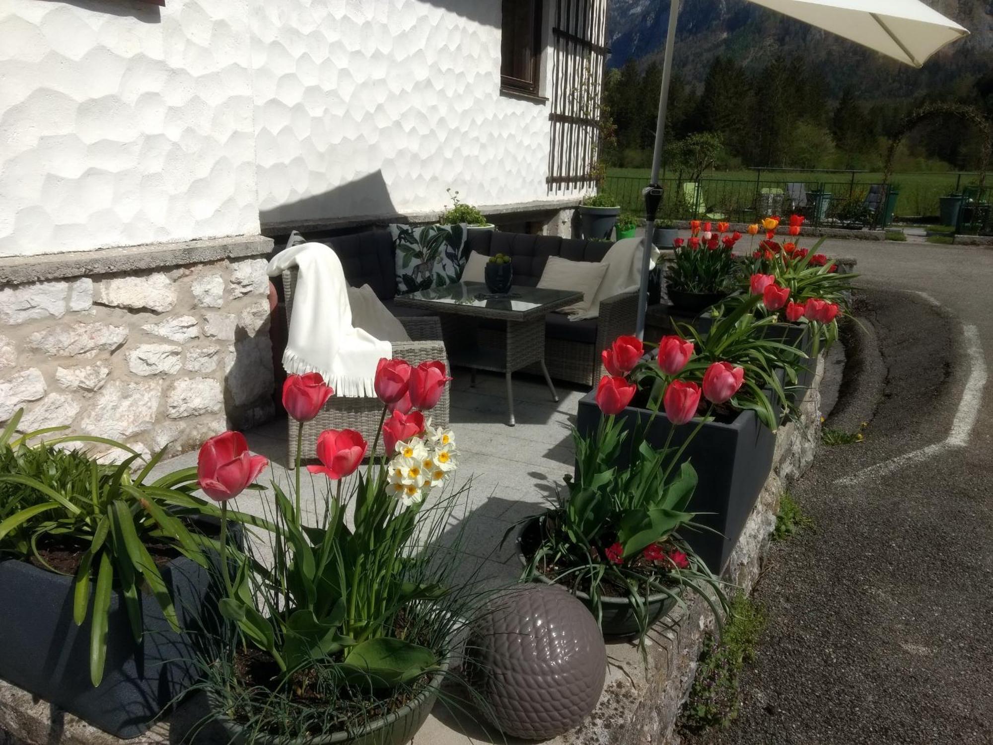 Haus Alpenblick Apartment Обертраун Екстериор снимка